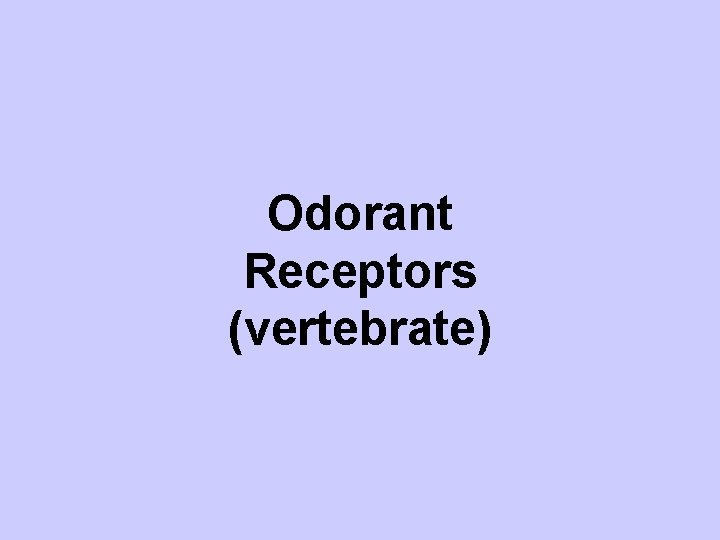 Odorant Receptors (vertebrate) 