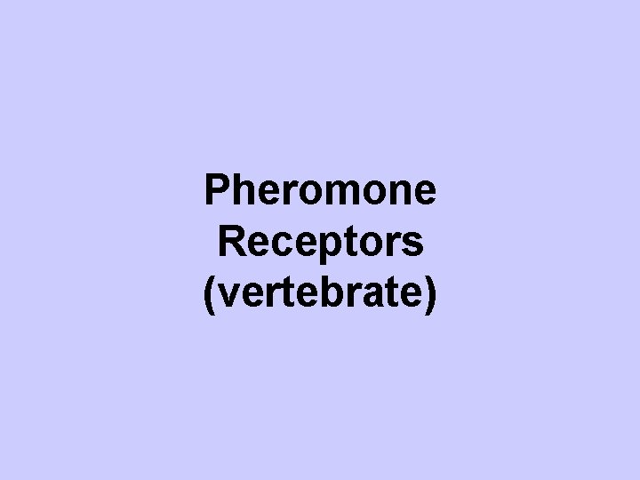 Pheromone Receptors (vertebrate) 