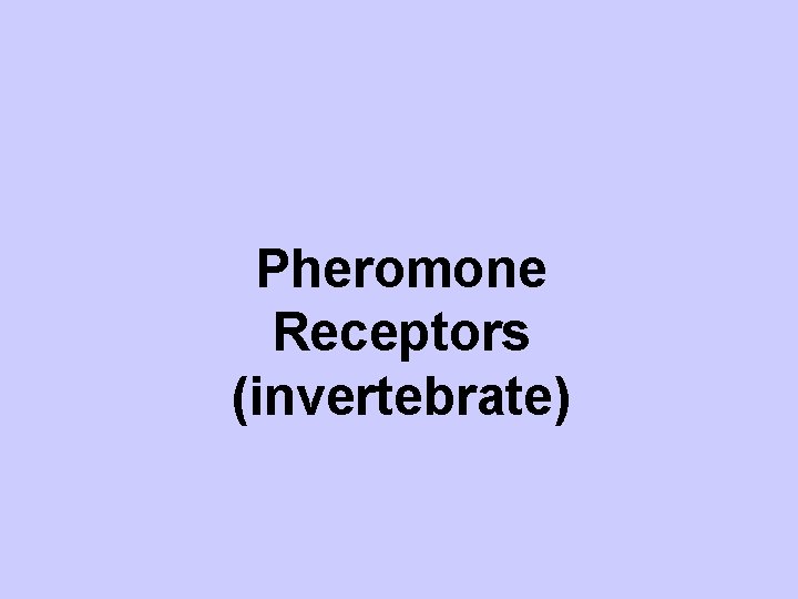 Pheromone Receptors (invertebrate) 