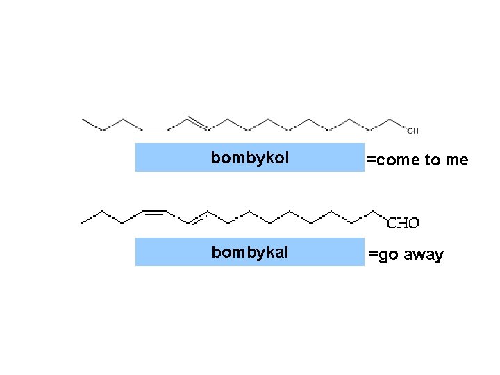 bombykol =come to me bombykal =go away 