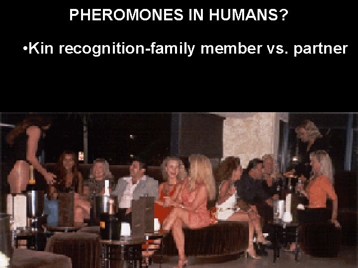 PHEROMONES IN HUMANS? • Kin recognition-family member vs. partner 