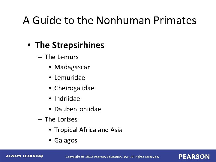 A Guide to the Nonhuman Primates • The Strepsirhines – The Lemurs • Madagascar