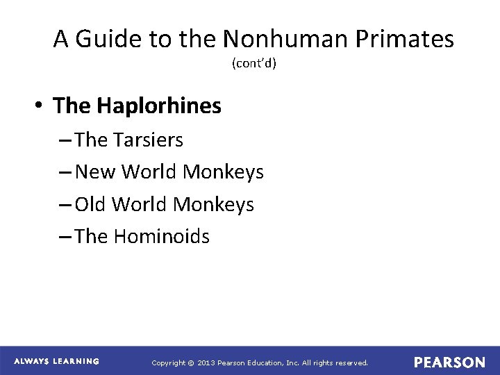 A Guide to the Nonhuman Primates (cont’d) • The Haplorhines – The Tarsiers –