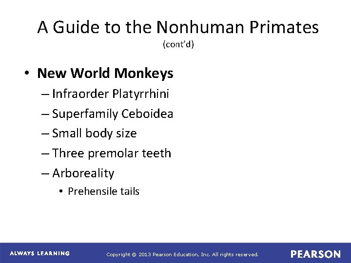 A Guide to the Nonhuman Primates (cont’d) • New World Monkeys – Infraorder Platyrrhini