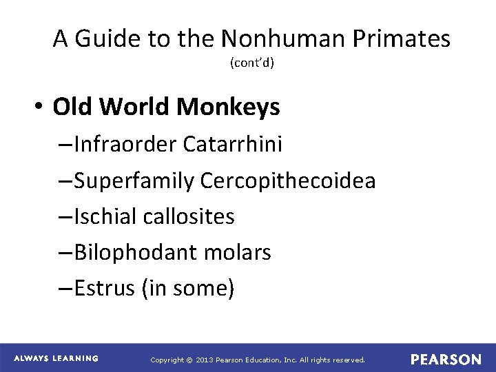 A Guide to the Nonhuman Primates (cont’d) • Old World Monkeys – Infraorder Catarrhini