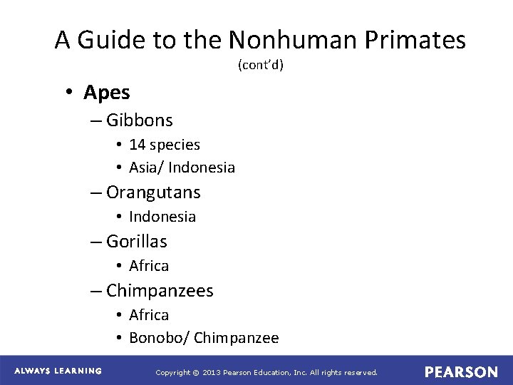 A Guide to the Nonhuman Primates (cont’d) • Apes – Gibbons • 14 species