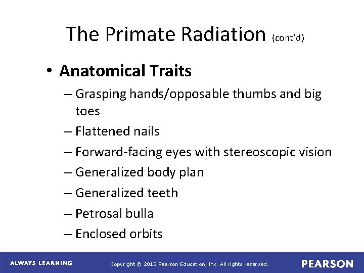 The Primate Radiation (cont’d) • Anatomical Traits – Grasping hands/opposable thumbs and big toes