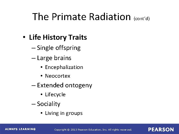The Primate Radiation (cont’d) • Life History Traits – Single offspring – Large brains