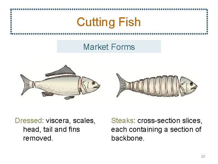 Cutting Fish Market Forms Dressed: viscera, scales, head, tail and fins removed. Steaks: cross-section