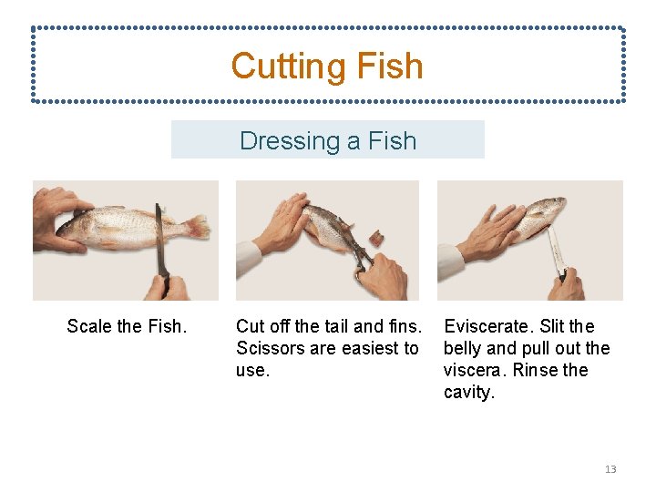 Cutting Fish Dressing a Fish Scale the Fish. Cut off the tail and fins.