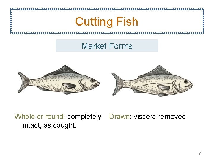 Cutting Fish Market Forms Whole or round: completely intact, as caught. Drawn: viscera removed.