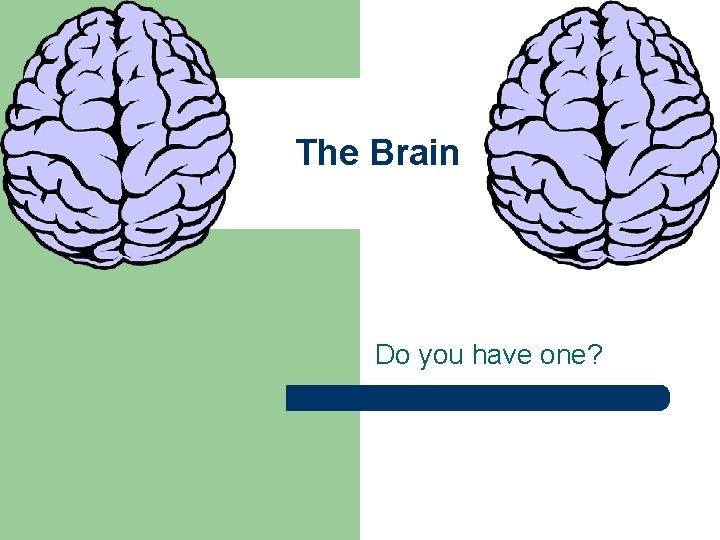 The Brain Do you have one Vocabulary Nervous