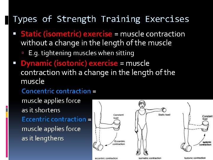 Types of Strength Training Exercises Static (isometric) exercise = muscle contraction without a change