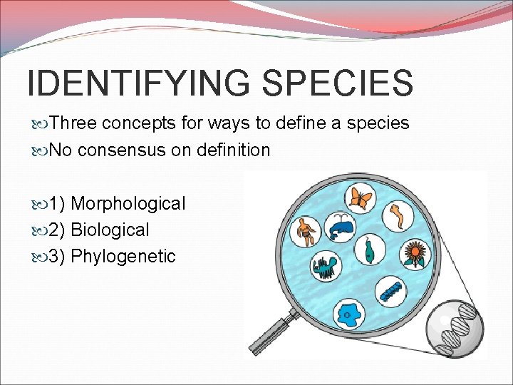 IDENTIFYING SPECIES Three concepts for ways to define a species No consensus on definition