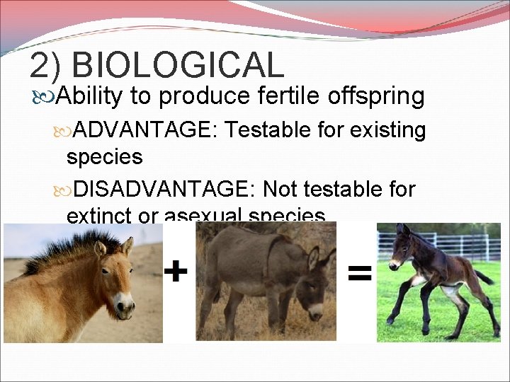 2) BIOLOGICAL Ability to produce fertile offspring ADVANTAGE: Testable for existing species DISADVANTAGE: Not