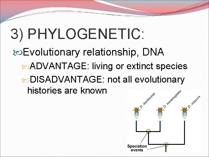 3) PHYLOGENETIC: Evolutionary relationship, DNA ADVANTAGE: living or extinct species DISADVANTAGE: not all evolutionary
