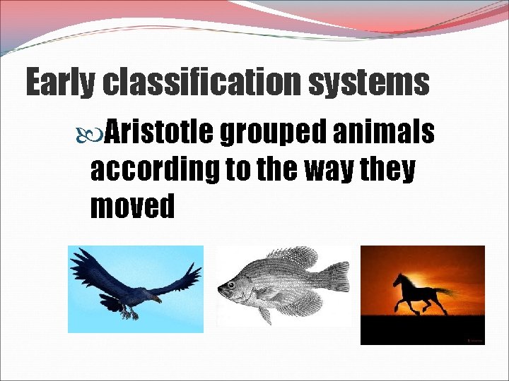 Early classification systems Aristotle grouped animals according to the way they moved 