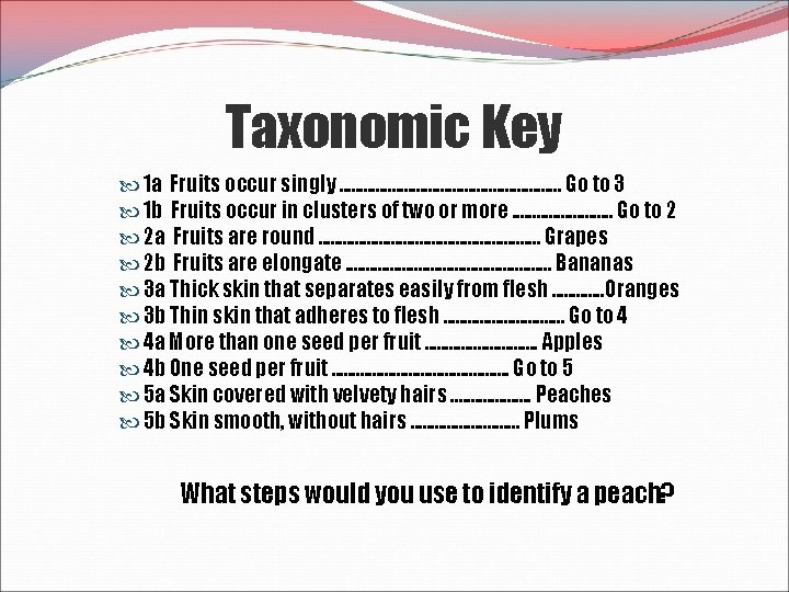 Taxonomic Key 1 a Fruits occur singly. . . . Go to 3 1