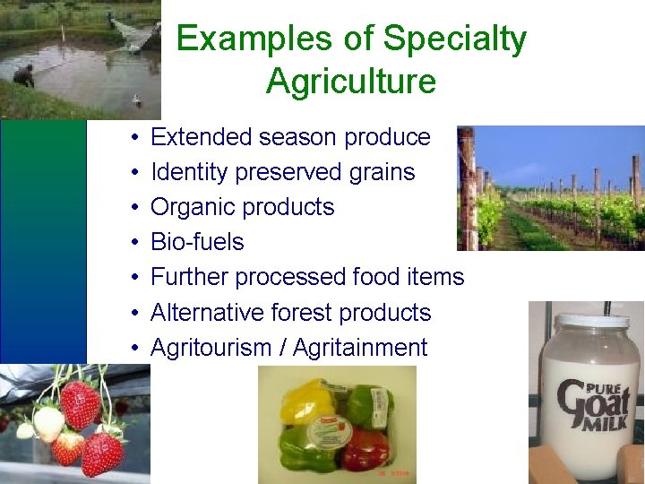 Examples of Specialty Agriculture • • Extended season produce Identity preserved grains Organic products