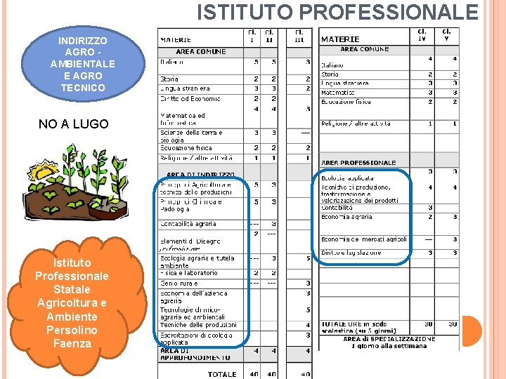 ISTITUTO PROFESSIONALE INDIRIZZO AGRO AMBIENTALE E AGRO TECNICO NO A LUGO Istituto Professionale Statale