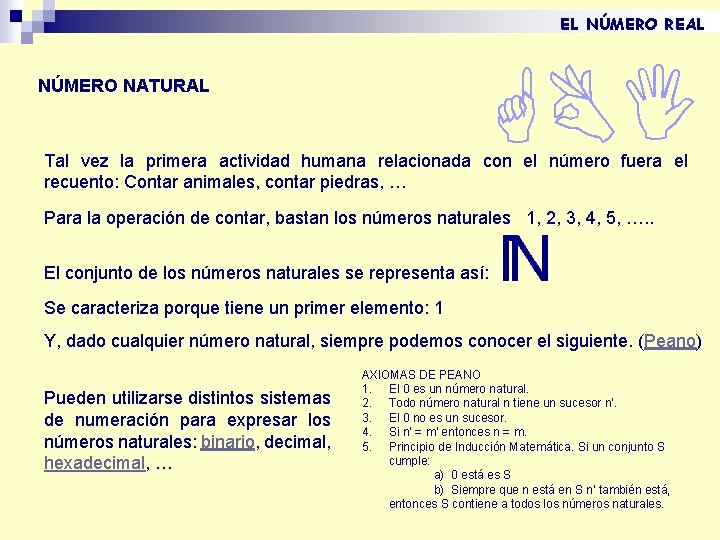 EL NÚMERO REAL NÚMERO NATURAL Tal vez la primera actividad humana relacionada con el EL NÚMERO REAL NÚMERO NATURAL Tal vez la primera actividad humana relacionada con el