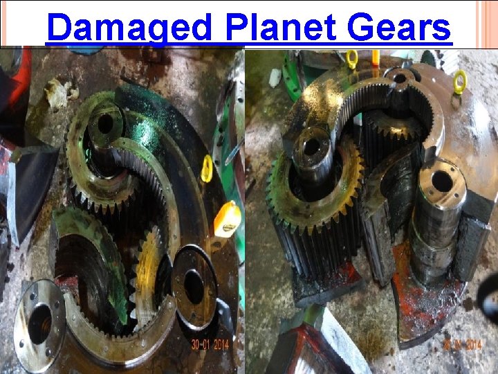 Damaged Planet Gears 