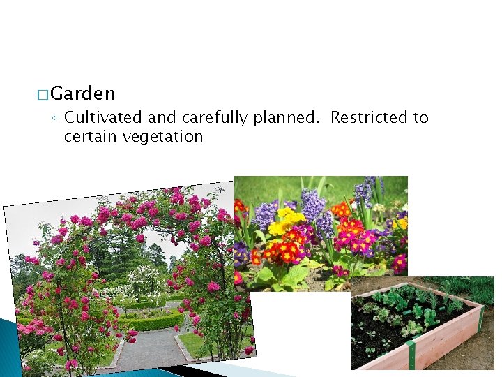 � Garden ◦ Cultivated and carefully planned. Restricted to certain vegetation 