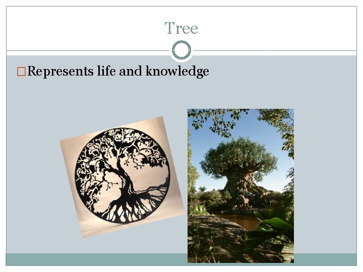 Tree �Represents life and knowledge 