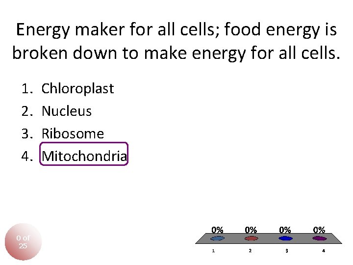 Energy maker for all cells; food energy is broken down to make energy for Energy maker for all cells; food energy is broken down to make energy for