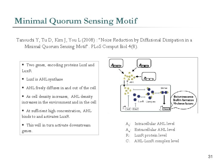 Minimal Quorum Sensing Motif Tanouchi Y, Tu D, Kim J, You L (2008) :