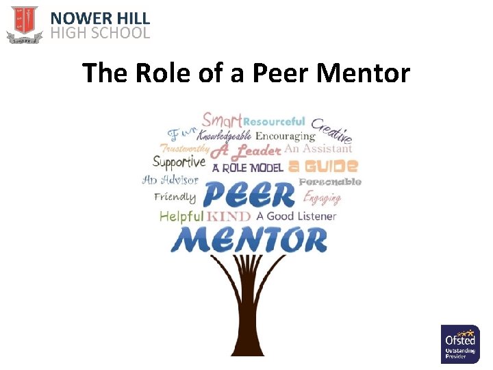 The Role of a Peer Mentor 