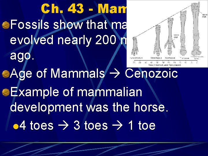 Ch. 43 - Mammals Fossils show that mammals evolved nearly 200 million years ago.