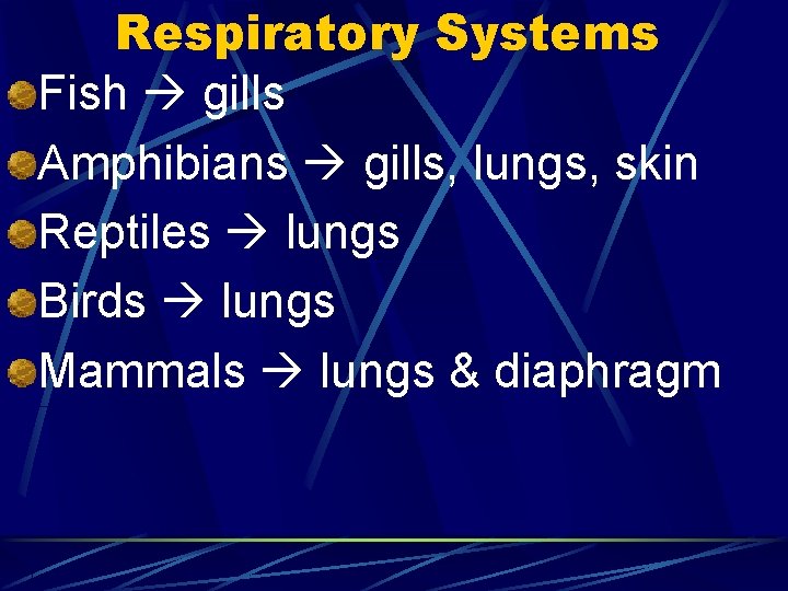 Respiratory Systems Fish gills Amphibians gills, lungs, skin Reptiles lungs Birds lungs Mammals lungs