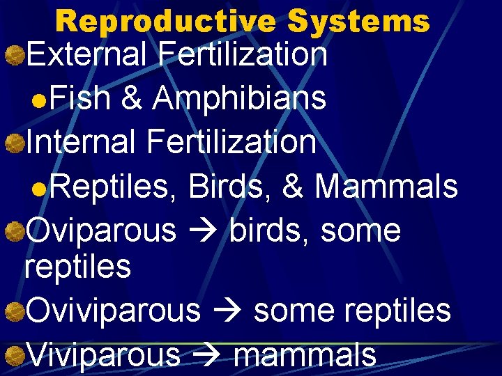 Reproductive Systems External Fertilization l. Fish & Amphibians Internal Fertilization l. Reptiles, Birds, &