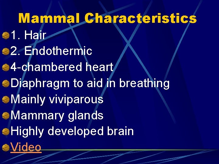 Mammal Characteristics 1. Hair 2. Endothermic 4 -chambered heart Diaphragm to aid in breathing