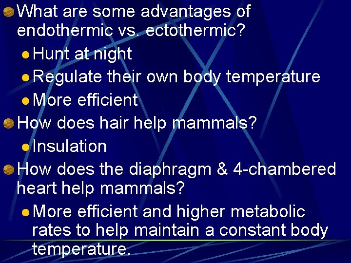 What are some advantages of endothermic vs. ectothermic? l Hunt at night l Regulate