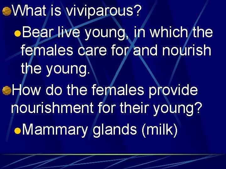 What is viviparous? l. Bear live young, in which the females care for and