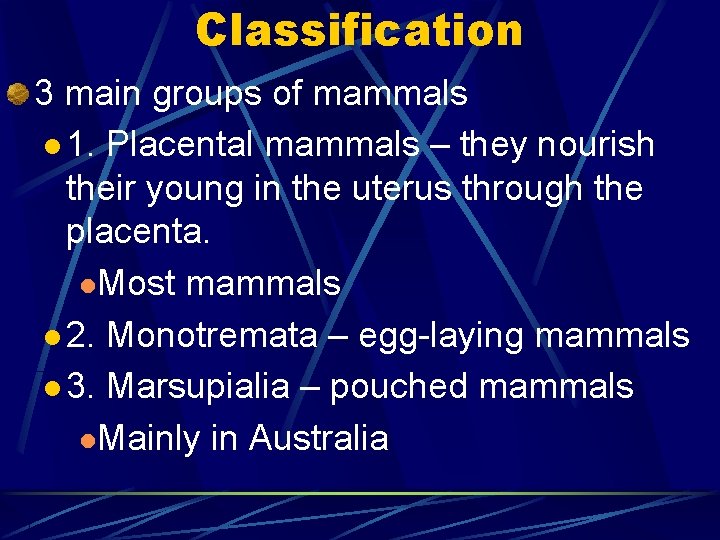 Classification 3 main groups of mammals l 1. Placental mammals – they nourish their