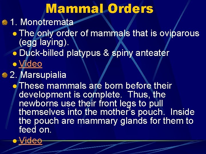 Mammal Orders 1. Monotremata l The only order of mammals that is oviparous (egg
