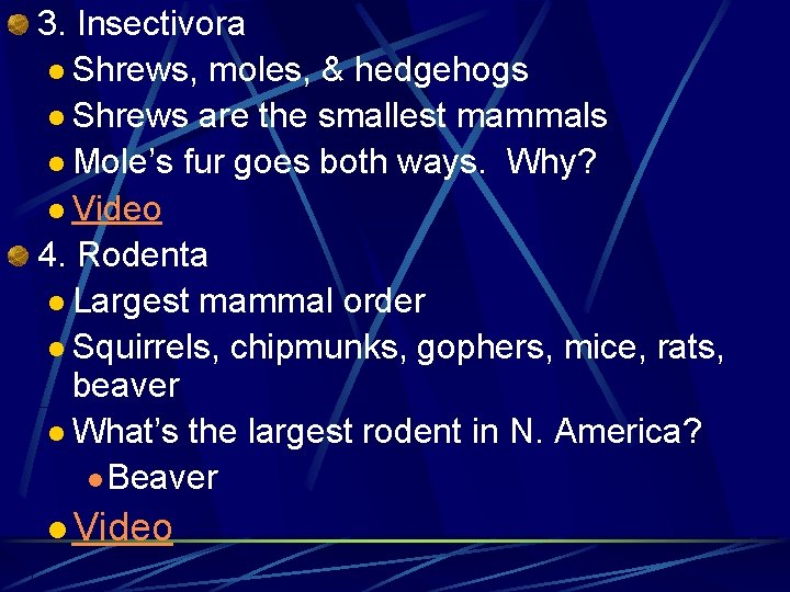 3. Insectivora l Shrews, moles, & hedgehogs l Shrews are the smallest mammals l
