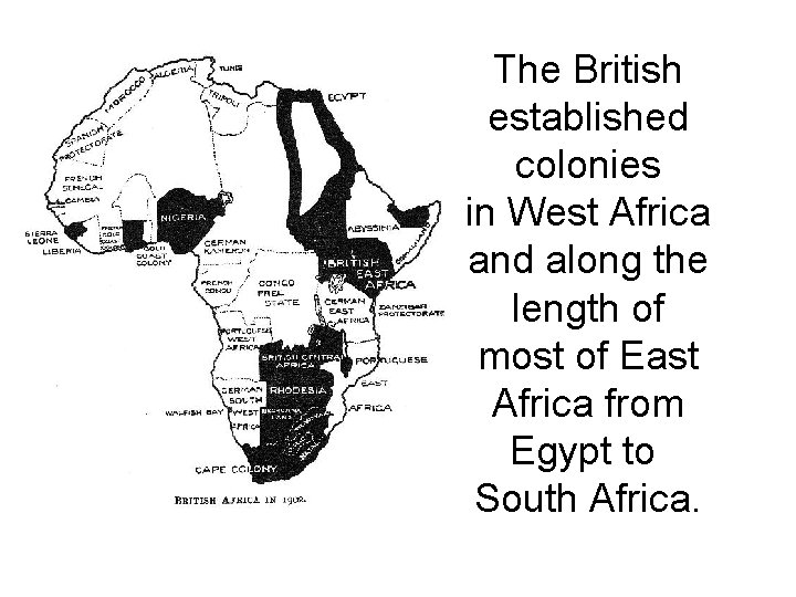 The British established colonies in West Africa and along the length of most of The British established colonies in West Africa and along the length of most of