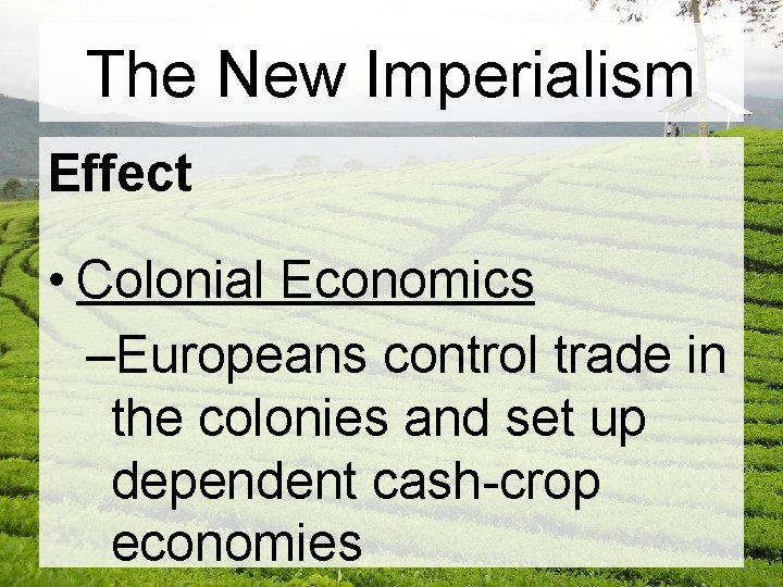 The New Imperialism Effect • Colonial Economics –Europeans control trade in the colonies and The New Imperialism Effect • Colonial Economics –Europeans control trade in the colonies and