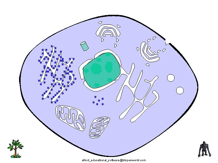 alford_educational_software@btopenworld. com 