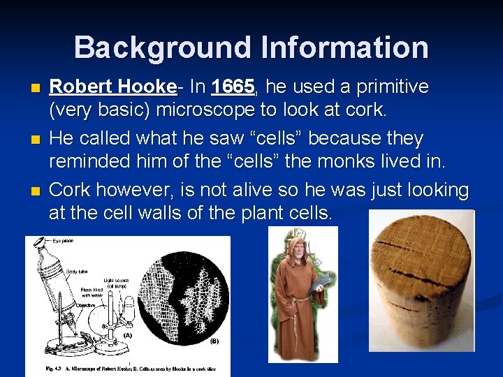 Background Information n Robert Hooke- In 1665, he used a primitive (very basic) microscope