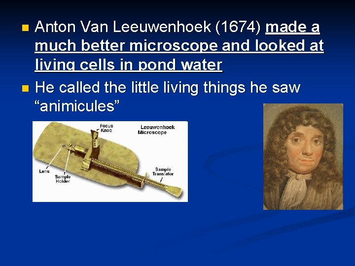 Anton Van Leeuwenhoek (1674) made a much better microscope and looked at living cells