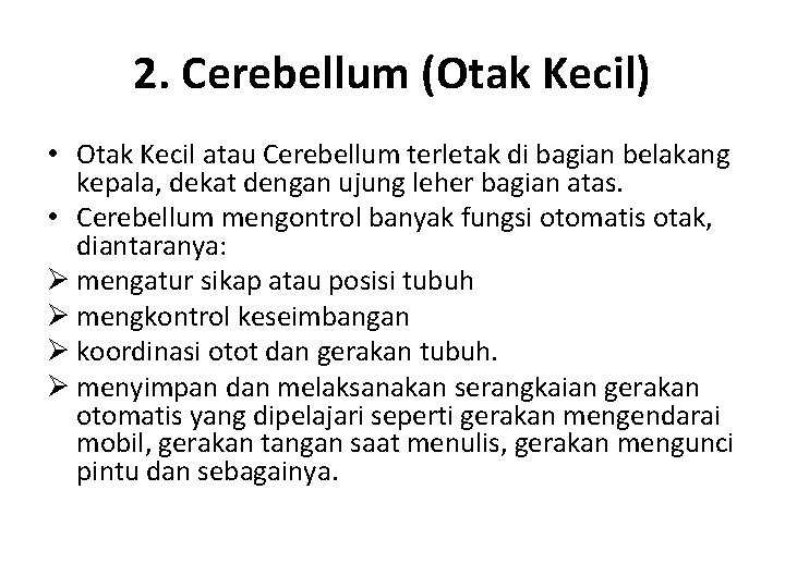 2. Cerebellum (Otak Kecil) • Otak Kecil atau Cerebellum terletak di bagian belakang kepala,