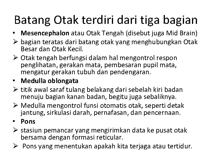 Batang Otak terdiri dari tiga bagian • Mesencephalon atau Otak Tengah (disebut juga Mid