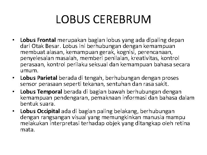 LOBUS CEREBRUM • Lobus Frontal merupakan bagian lobus yang ada dipaling depan dari Otak