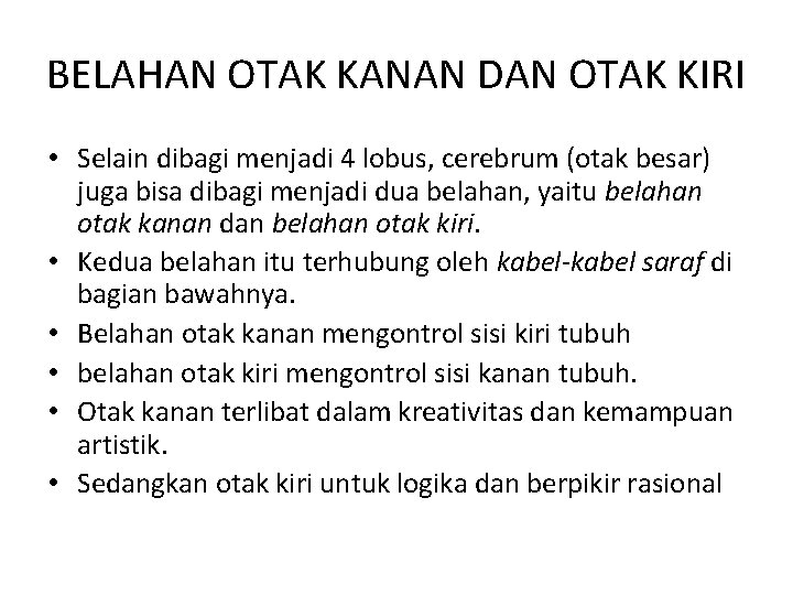 BELAHAN OTAK KANAN DAN OTAK KIRI • Selain dibagi menjadi 4 lobus, cerebrum (otak