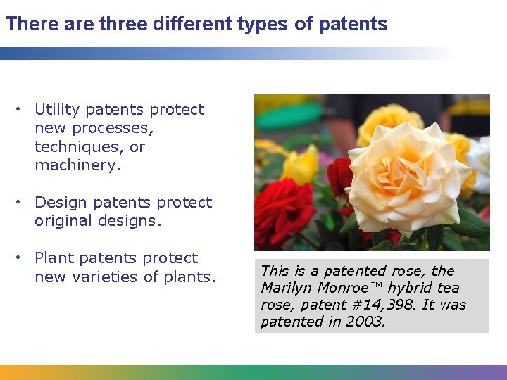 There are three different types of patents • Utility patents protect new processes, techniques,